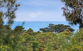 Seaview Treehouse - Three Minute Walk To The Beach